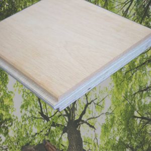 Pourquoi choisir Arrow Wood ?